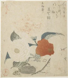 Ramo di prugna, un fiore di peonia e un sigillo di metallo, 1816
